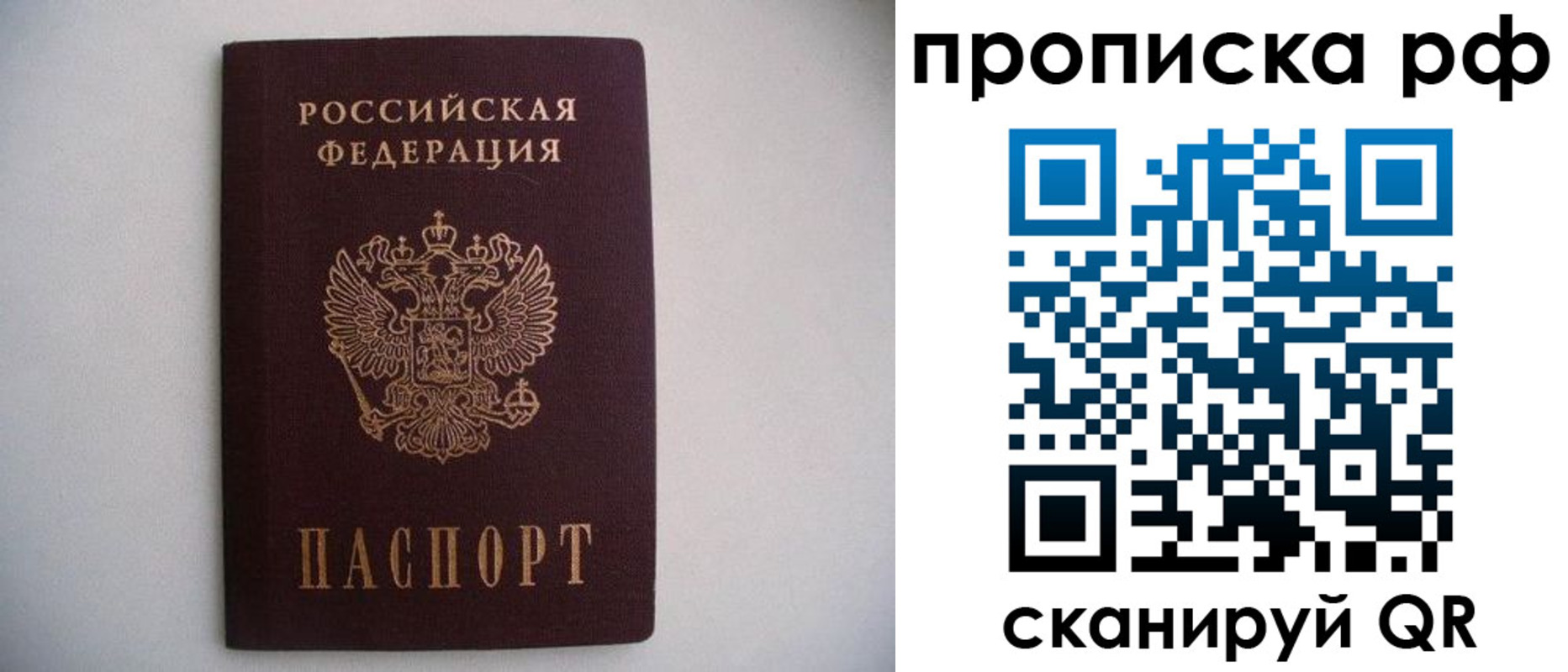 временная регистрация гарантия в Вязьме